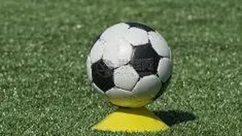 2026年非电器备件精品开发项目第1次修订通知