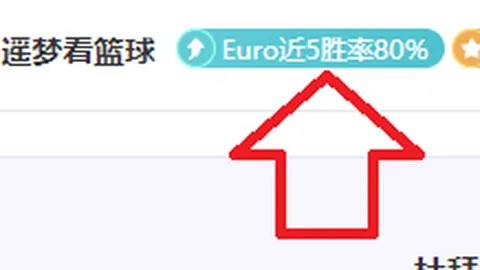 《燃情赛场，青春飞扬！葡萄牙青年赛事展现无敌魅力，等你来见证奇迹！》